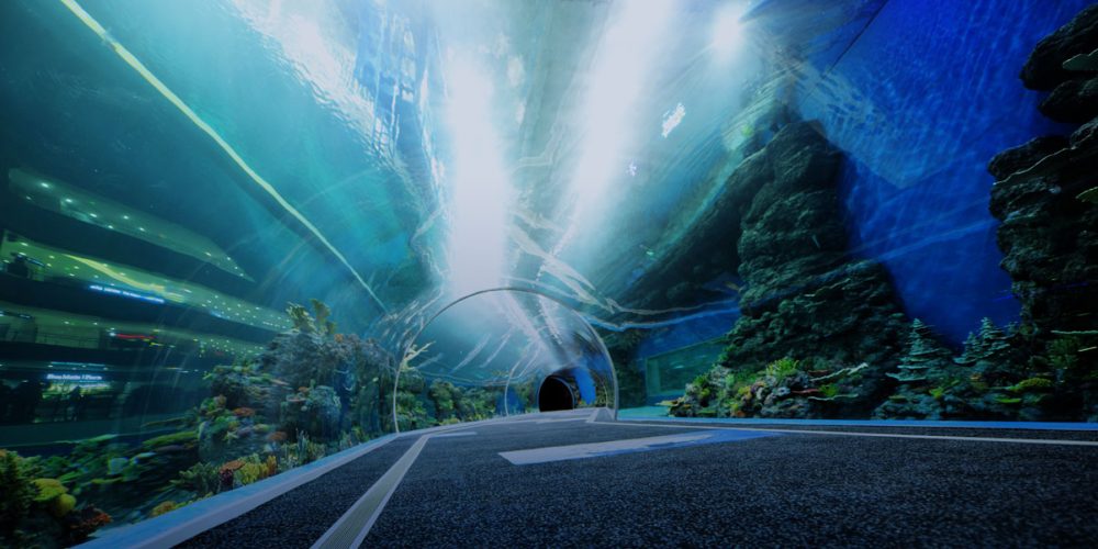 Acrylics Revamp Oceanariums: China’s Deep-Sea Tech-Eco Innovations