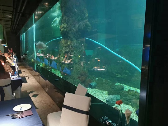 Crafting Aquatic Artistry: Immersive Acrylic Fish Tank Panorama for Themed Restaurants