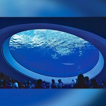 Acrylic Swimming Pools: Innovation Leading the New Trend in Pool Construction
