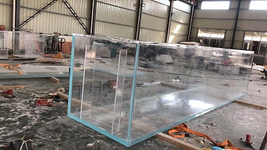 Aquarium Viewing Window: A Visual Hub for Connecting the Underwater World