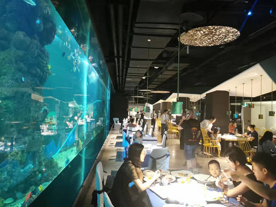 Acrylic Aquatic Restaurant: A Transparent Dialogue Between Deep-Sea Technology and Ecology