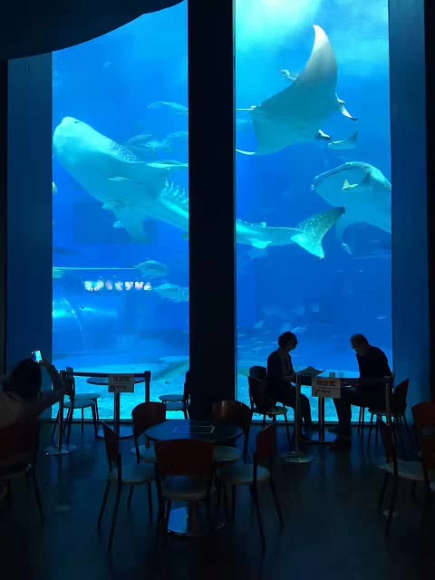 What are the key design points for aquarium viewing windows?