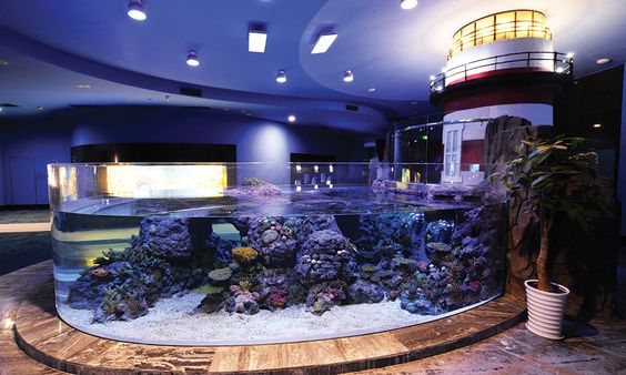 Acrylic Aquarium Fish Tank